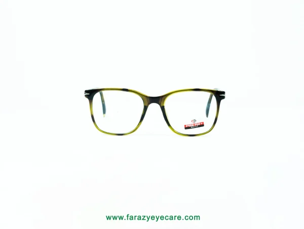 Tortoise Spring Hinge Glasses