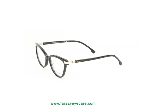 Burberry: A Vision in Black