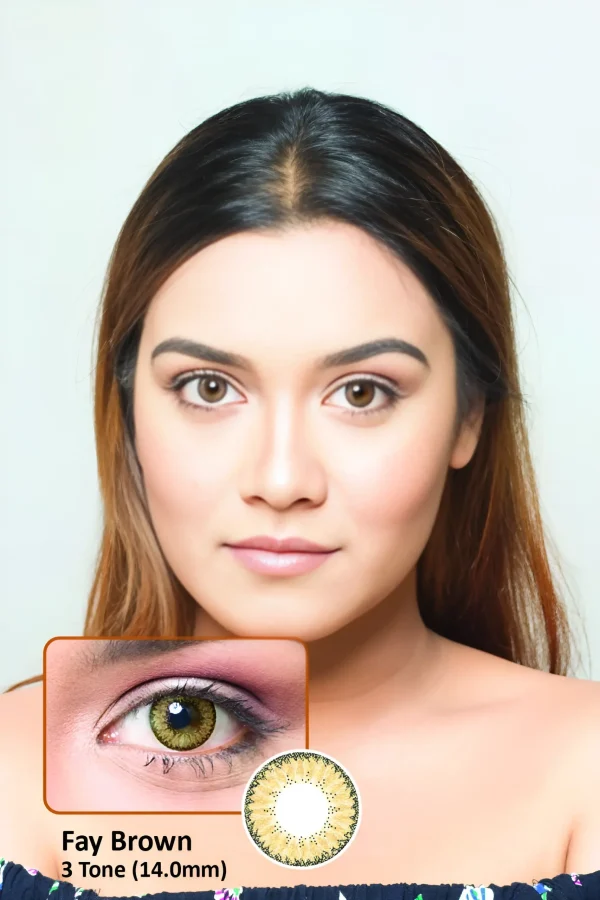 Angel Soft Contact Lens Brown Fay