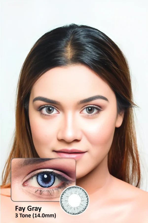 Angel Soft Contact Lens Gray Fay