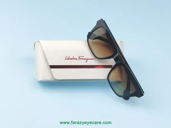 Ferragamo SF2938 C1 Sunglasses